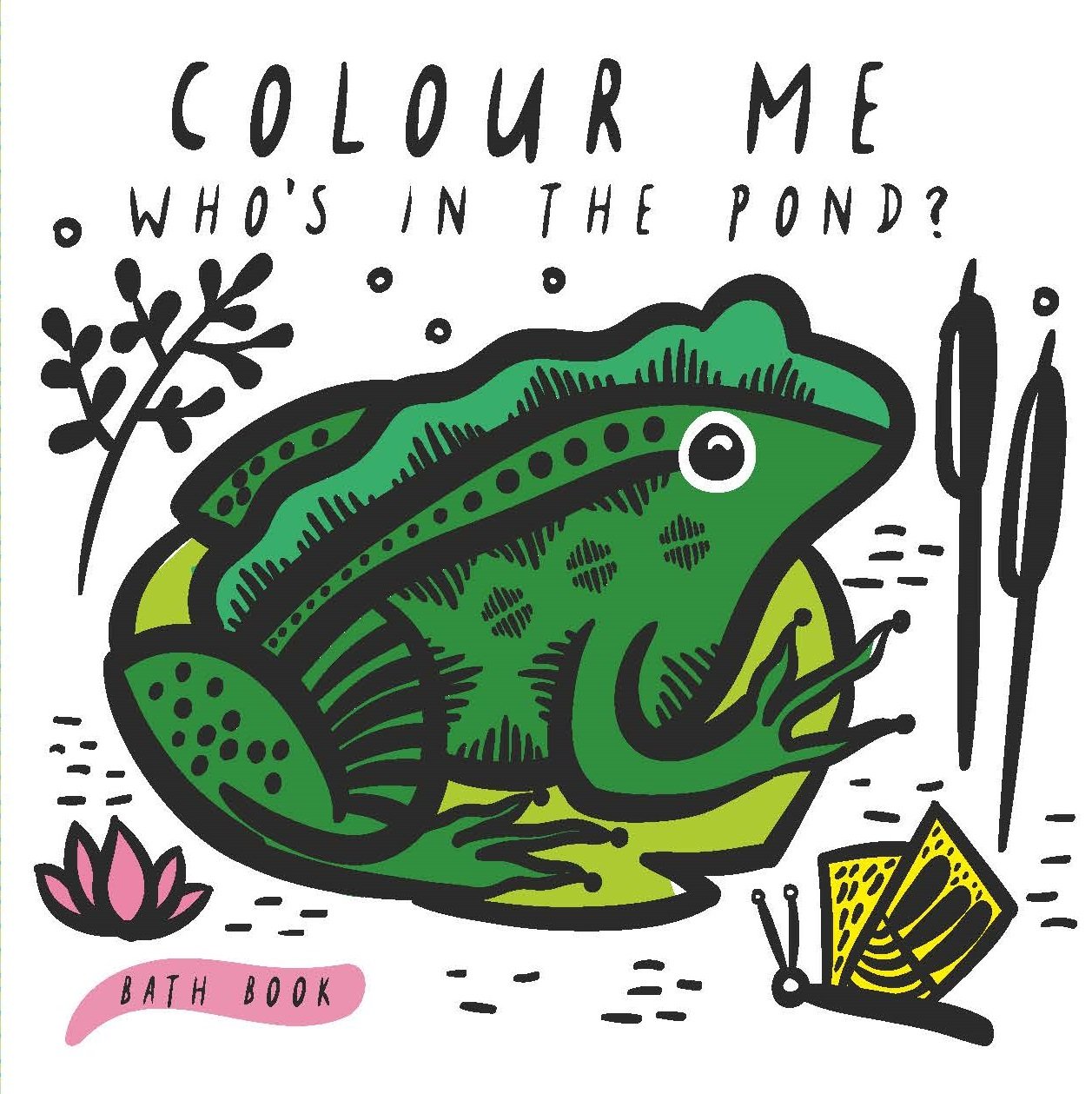 Colour Me: Who'S In The Pond?