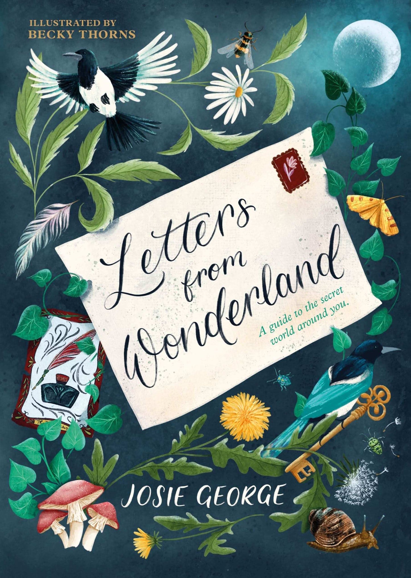 Letters From Wonderland: A Guide To The Secret World Around You