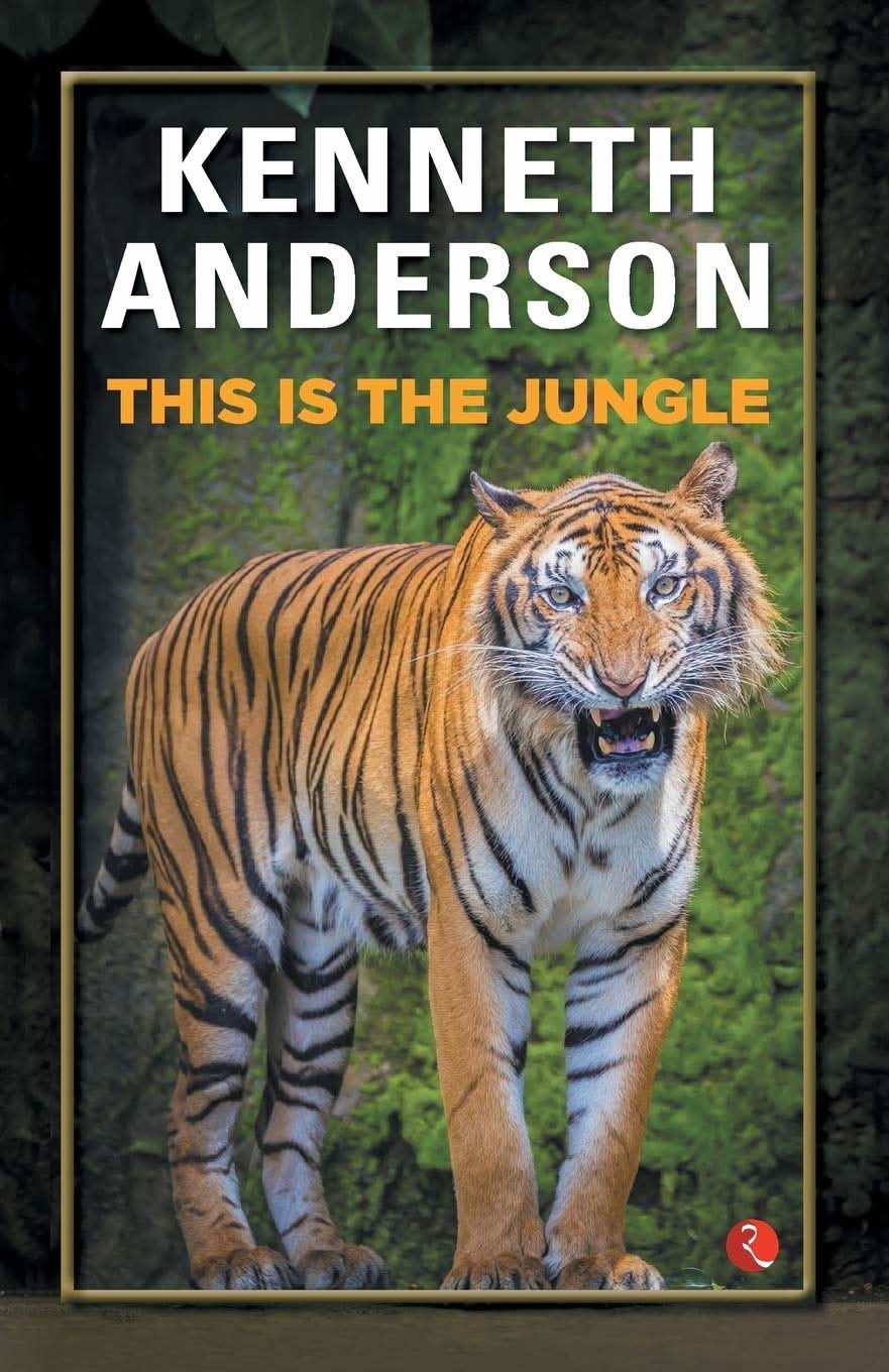 This Is The Jungle
