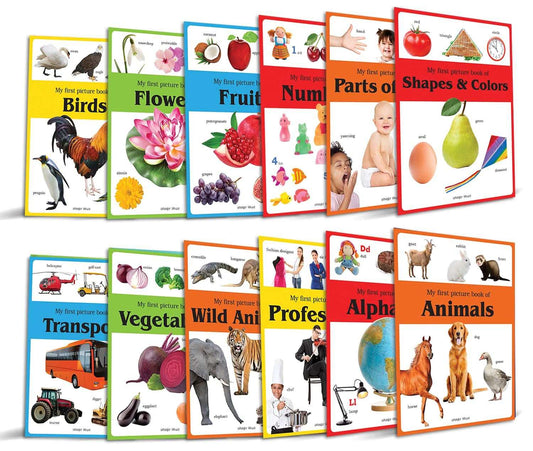 Early Learning Picture Books Boxset : Pack Of 12 Picture Books For Kids (Wipe & Clean)- Alphabet, An