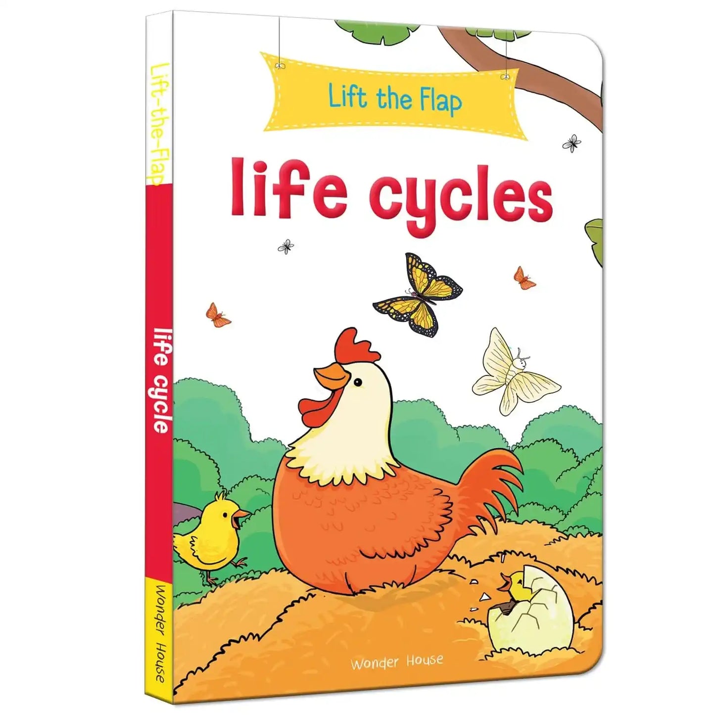 Lift The Flap: Life Cycles