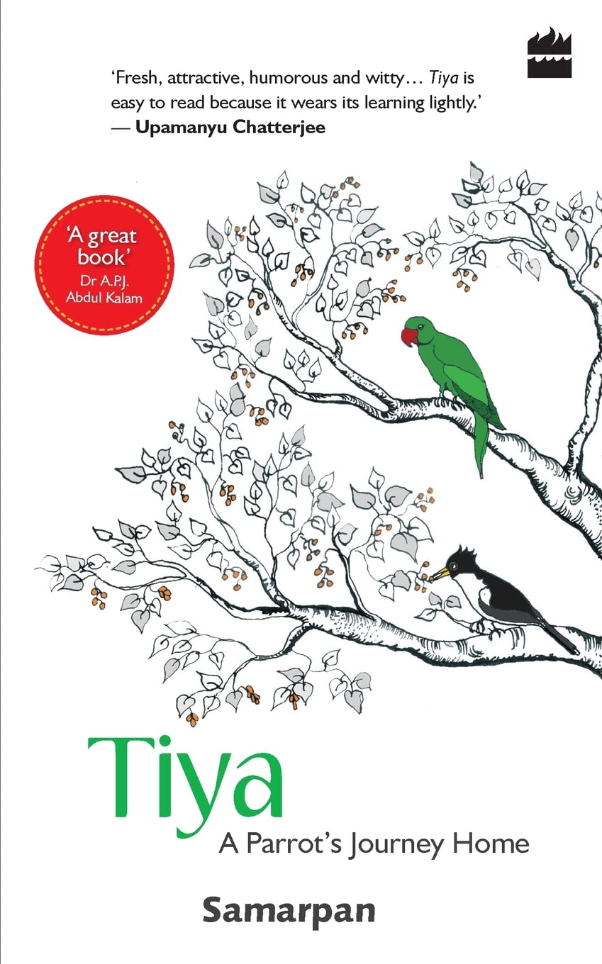 Tiya Parrot Journey Home