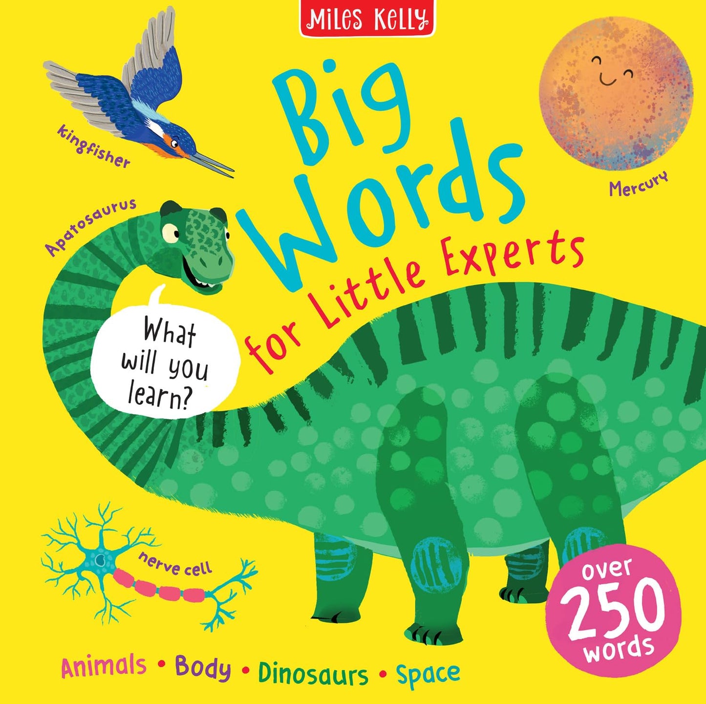 Big Words: A Hardback Non-Fiction Book About Animals, Space, and Dinosaurs (Big Words for Little Experts)