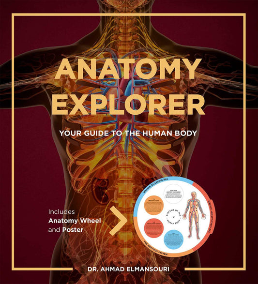 Anatomy Explorer
