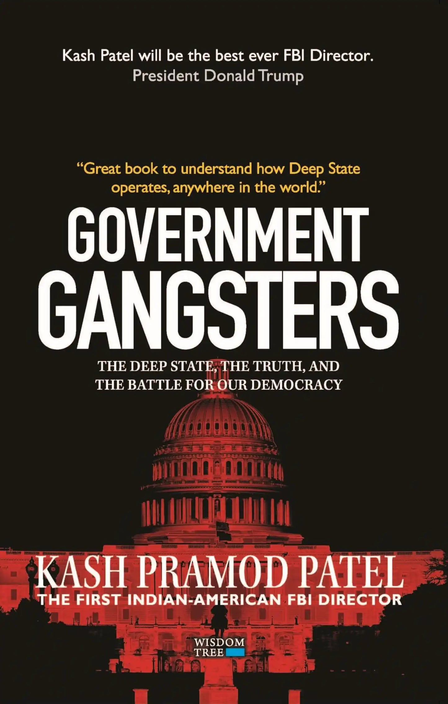 Government Gangsters