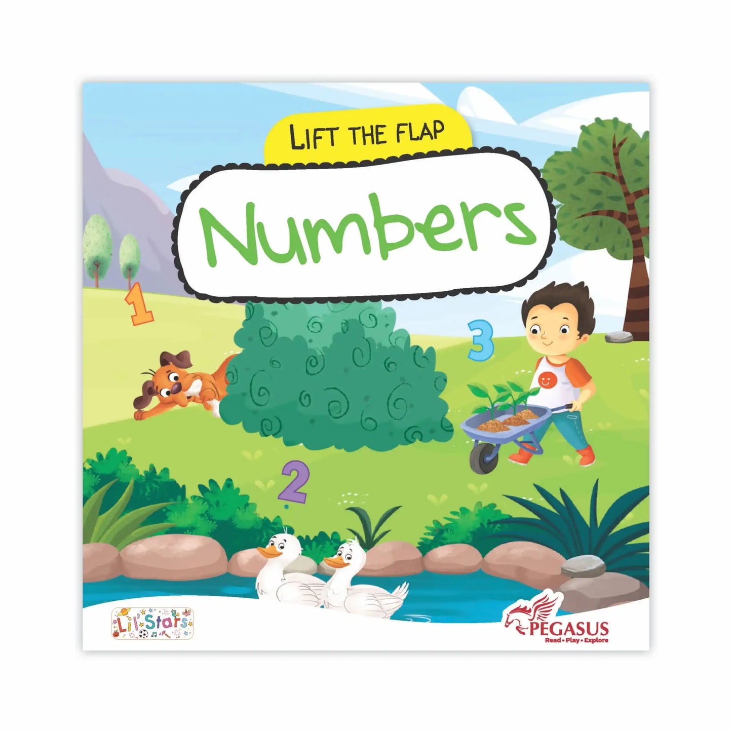 Counting Lift The Flap