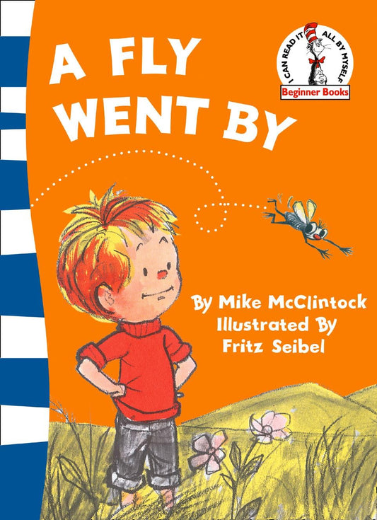 Beginner Series : A Fly Went By