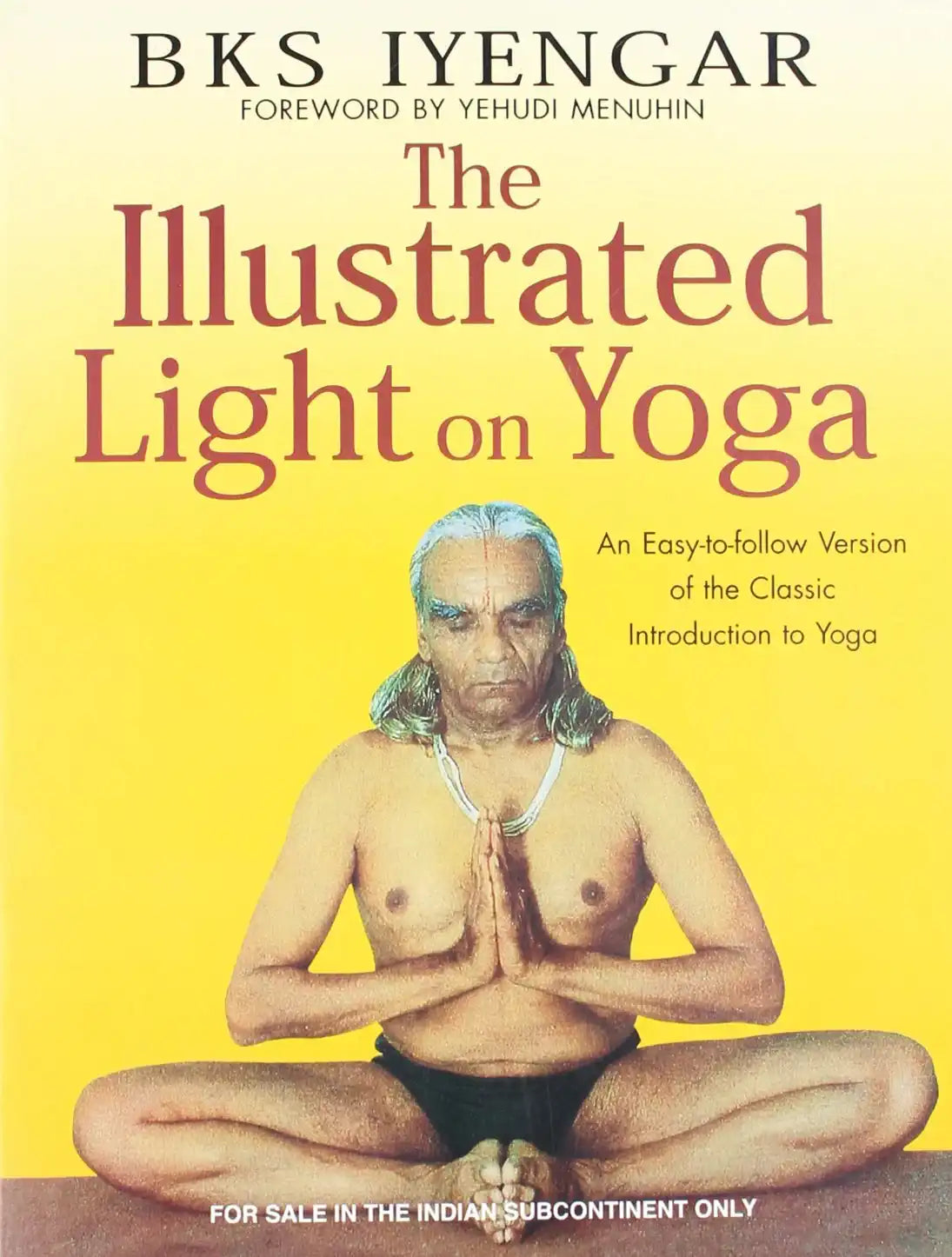 The Illustrated Light On Yoga