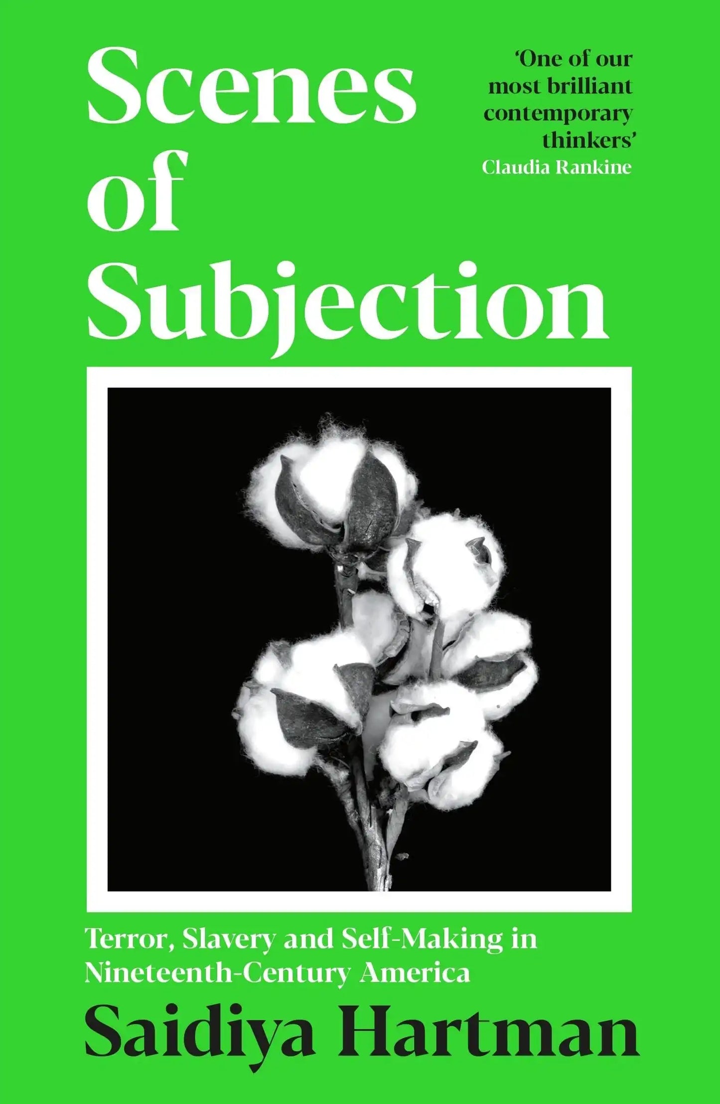 Scenes Of Subjection: Terror, Slavery And Self-Making In Nineteenth Century America