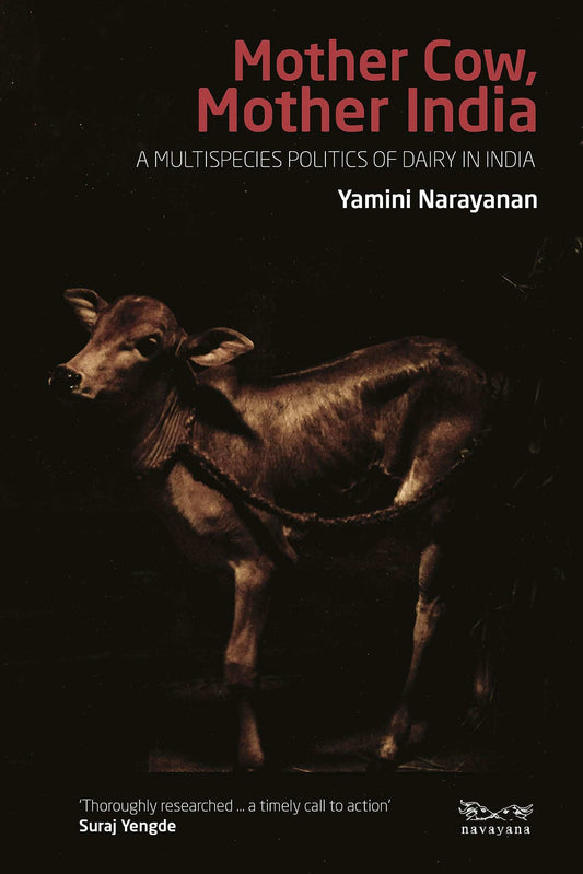 Mother Cow, Mother India : A Multispecies Politics Of Dairy In India