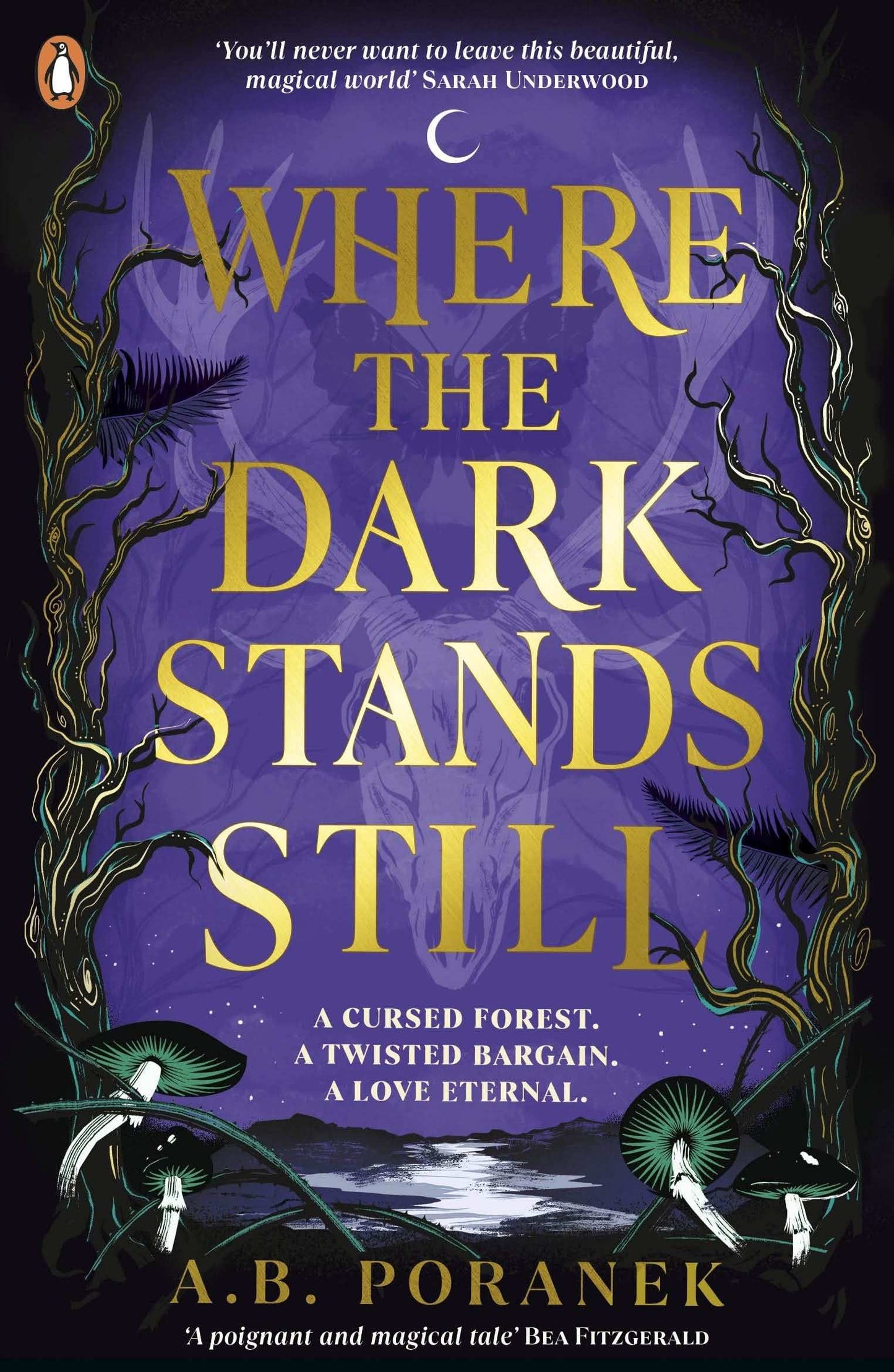 Where The Dark Stands Still