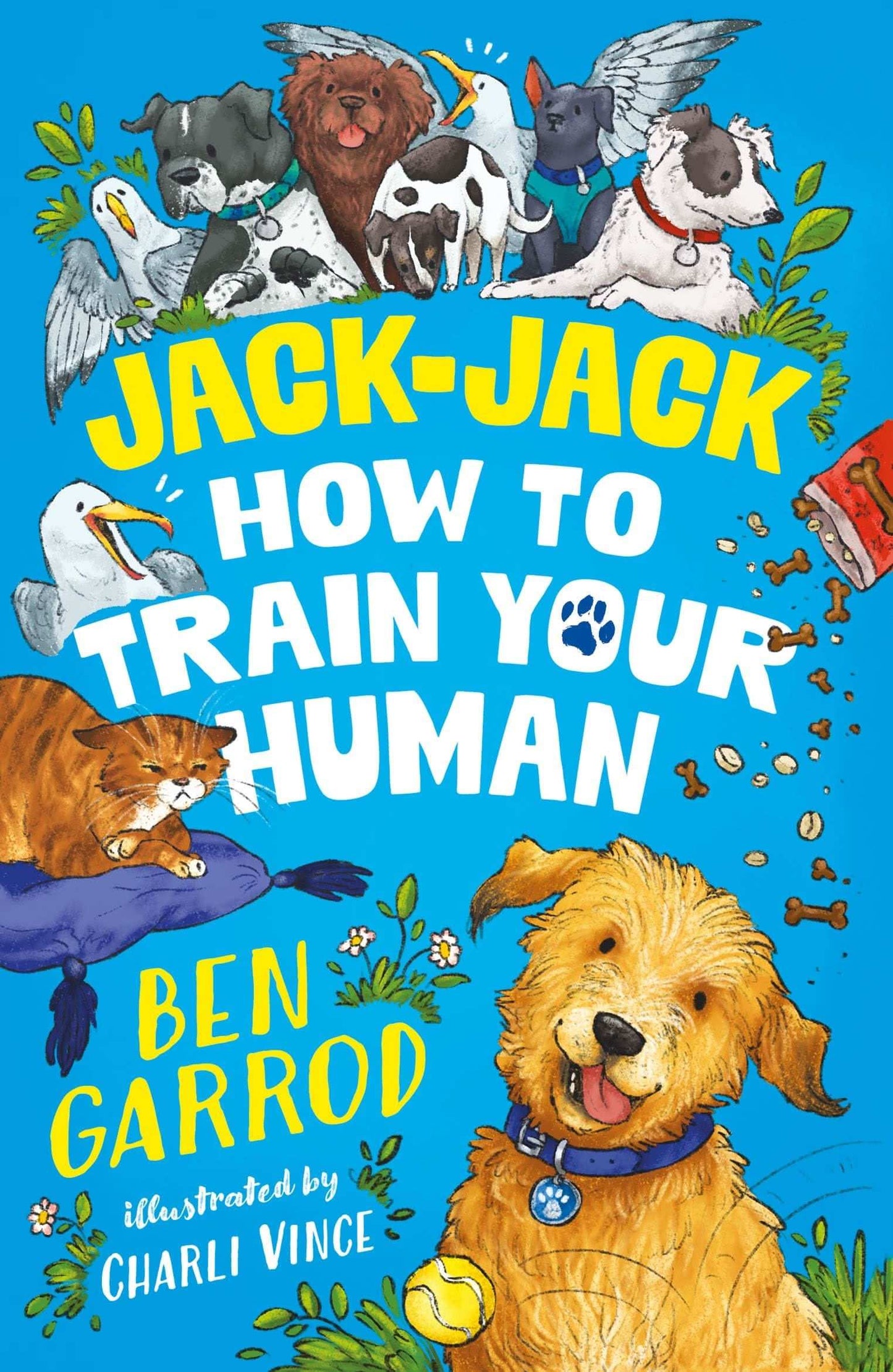 Jack-Jack, How To Train Your Human