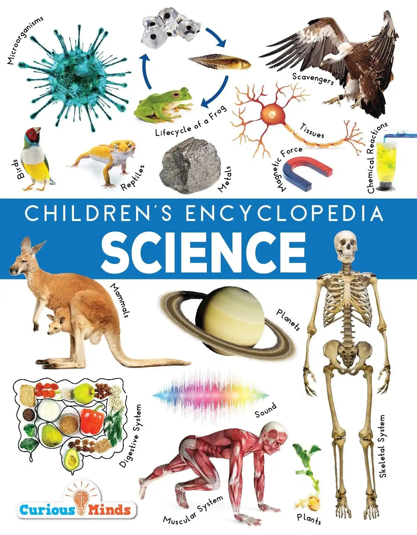 Science - Childrens Encyclopedia