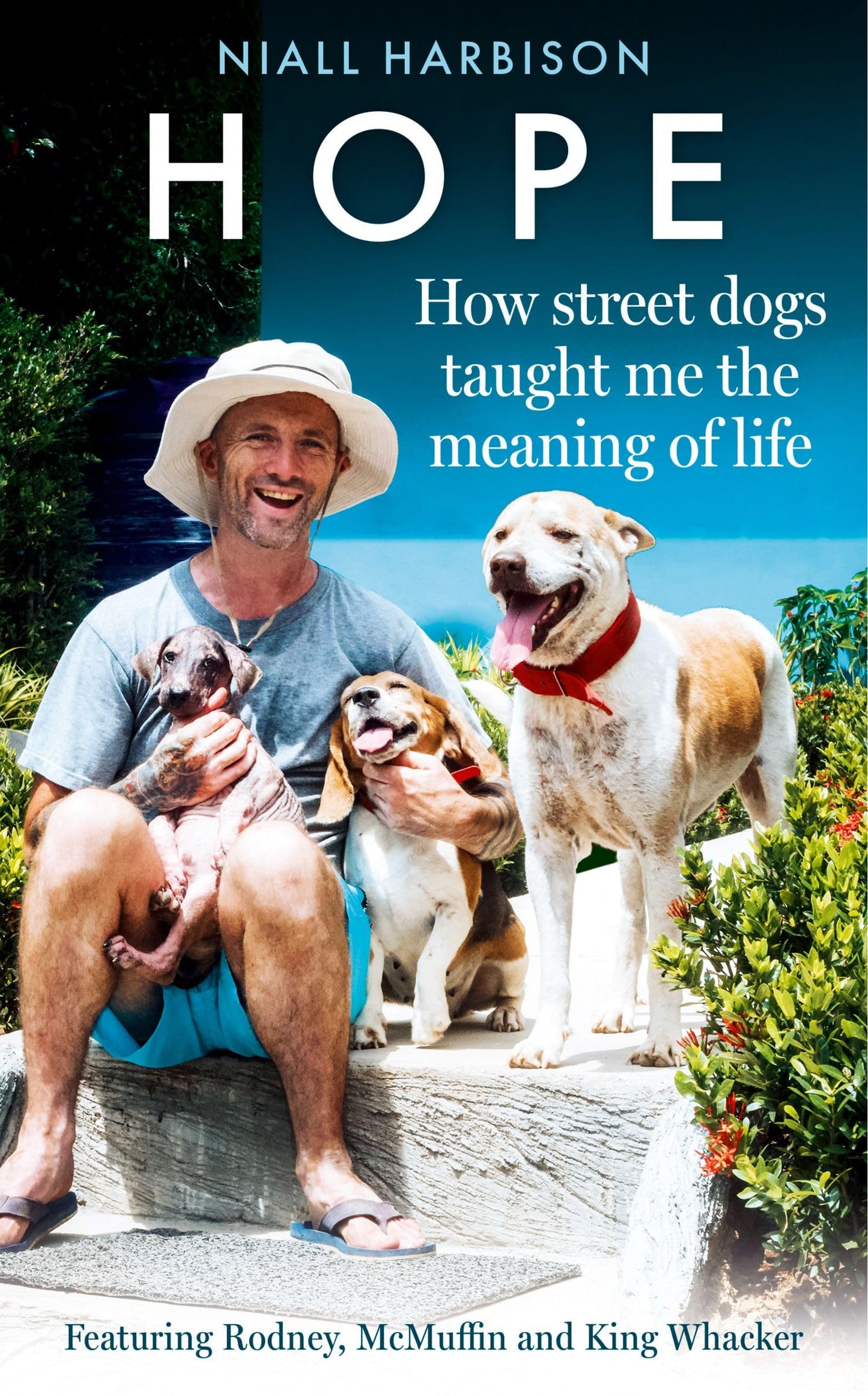 Hope - How Street Dogs Taught Me The Meaning Of Life