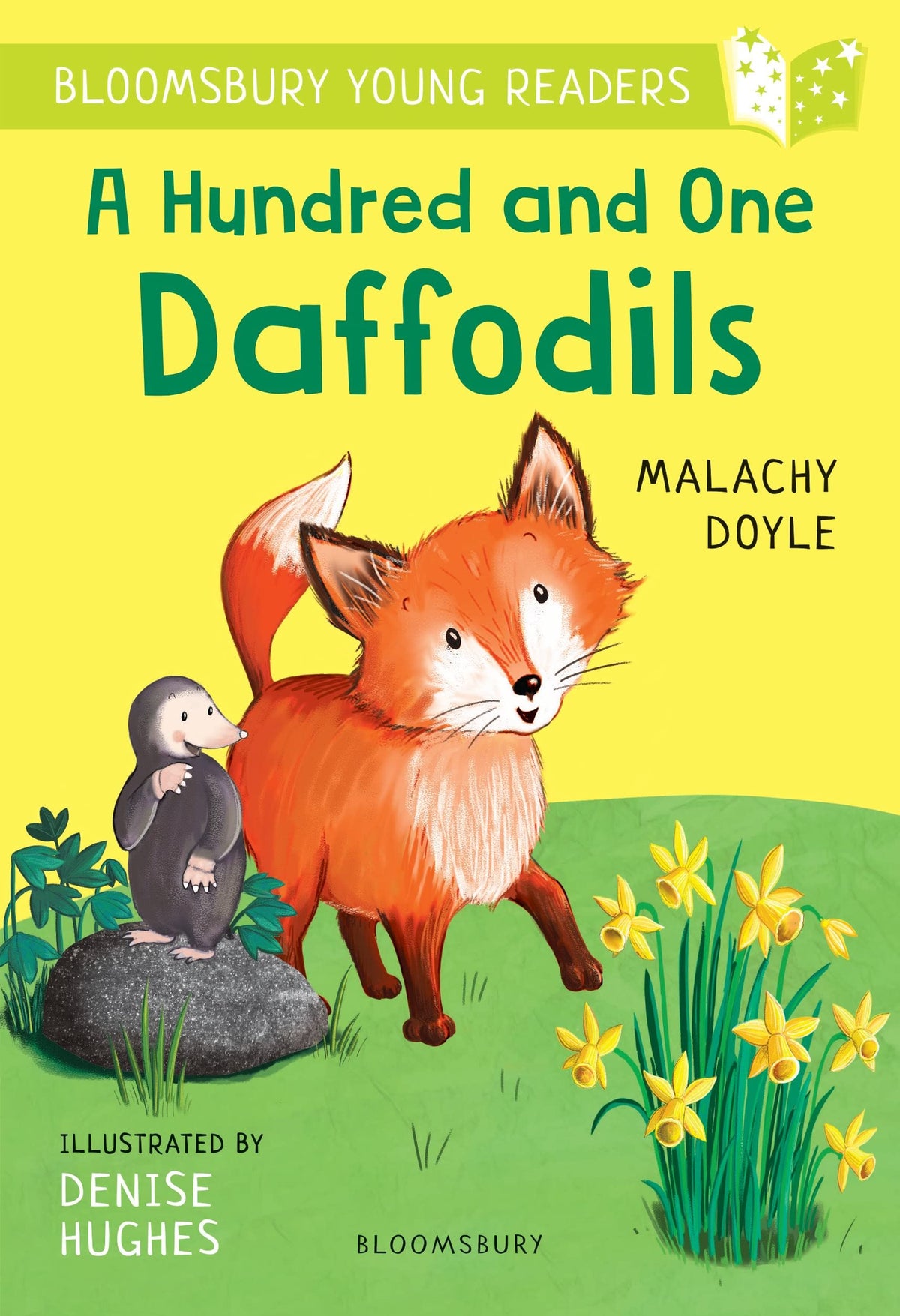 Hundred And One Daffodils
