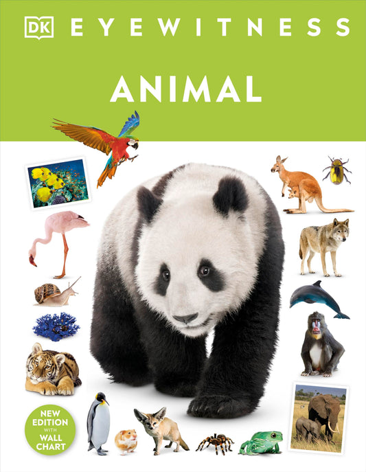 Animal (DK Eyewitness)