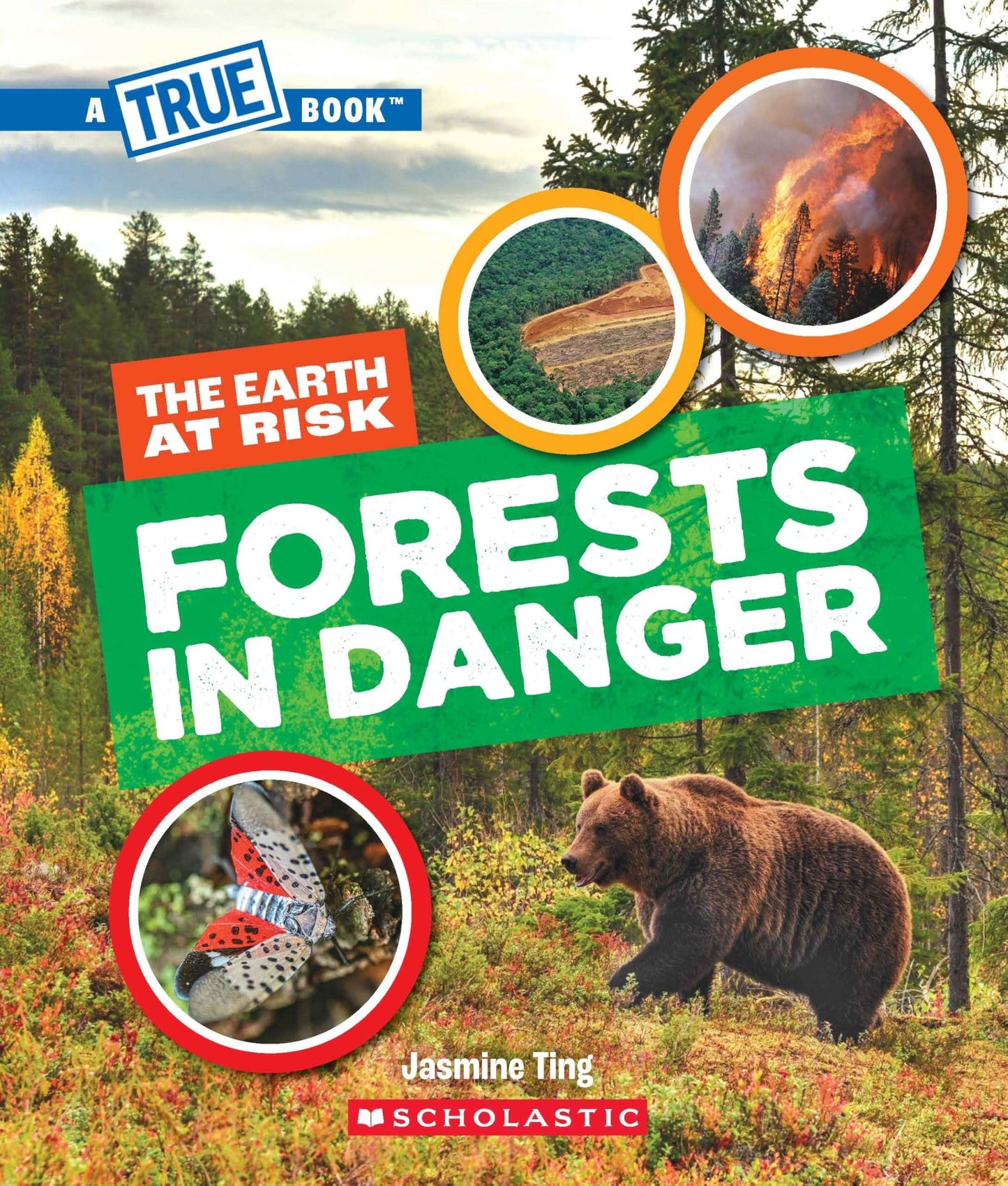 Forests In Danger (A True Book: The Earth At Risk)