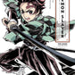 Art Of Demon Slayer: Kimetsu No Yaiba The Anime
