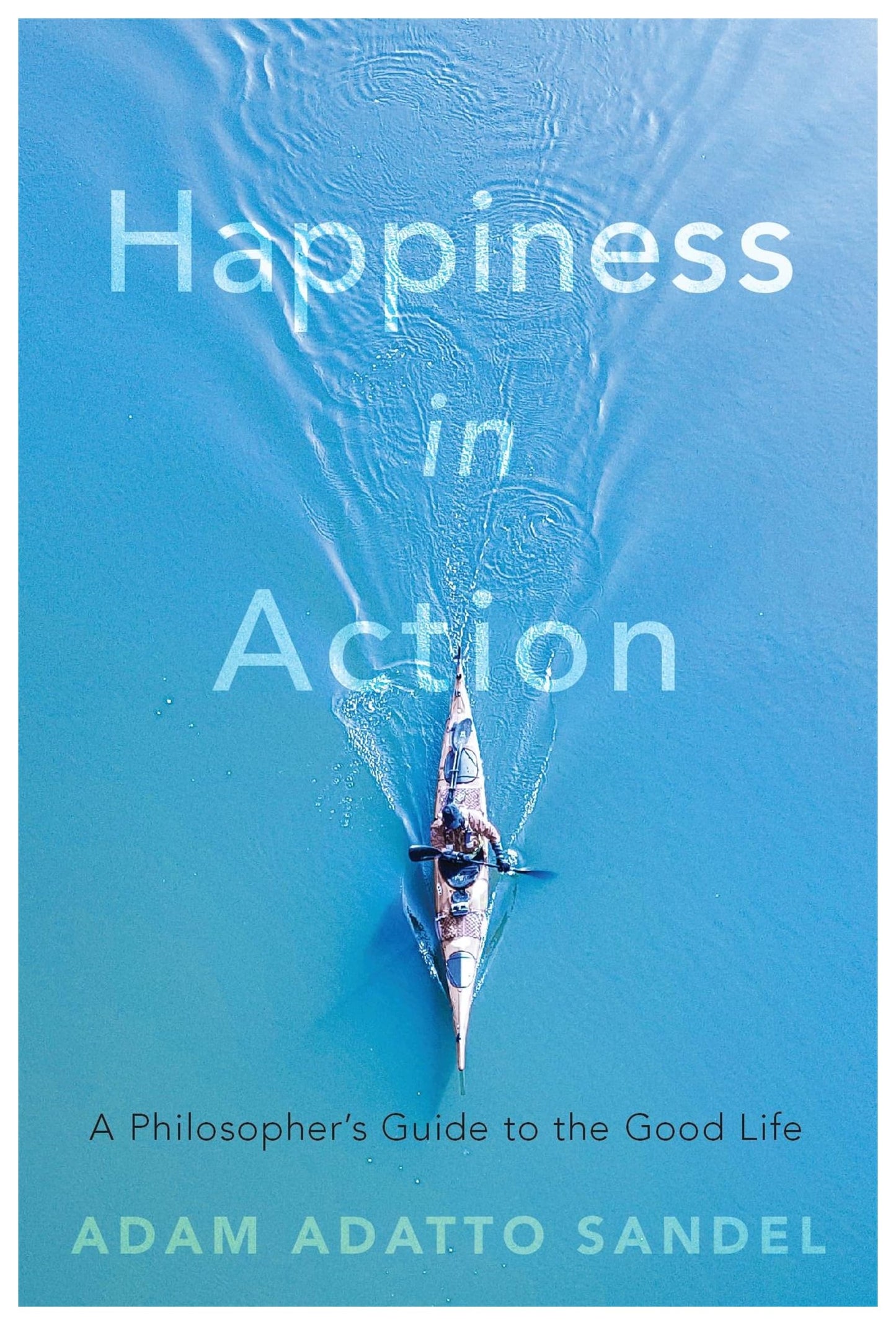 Happiness In Action