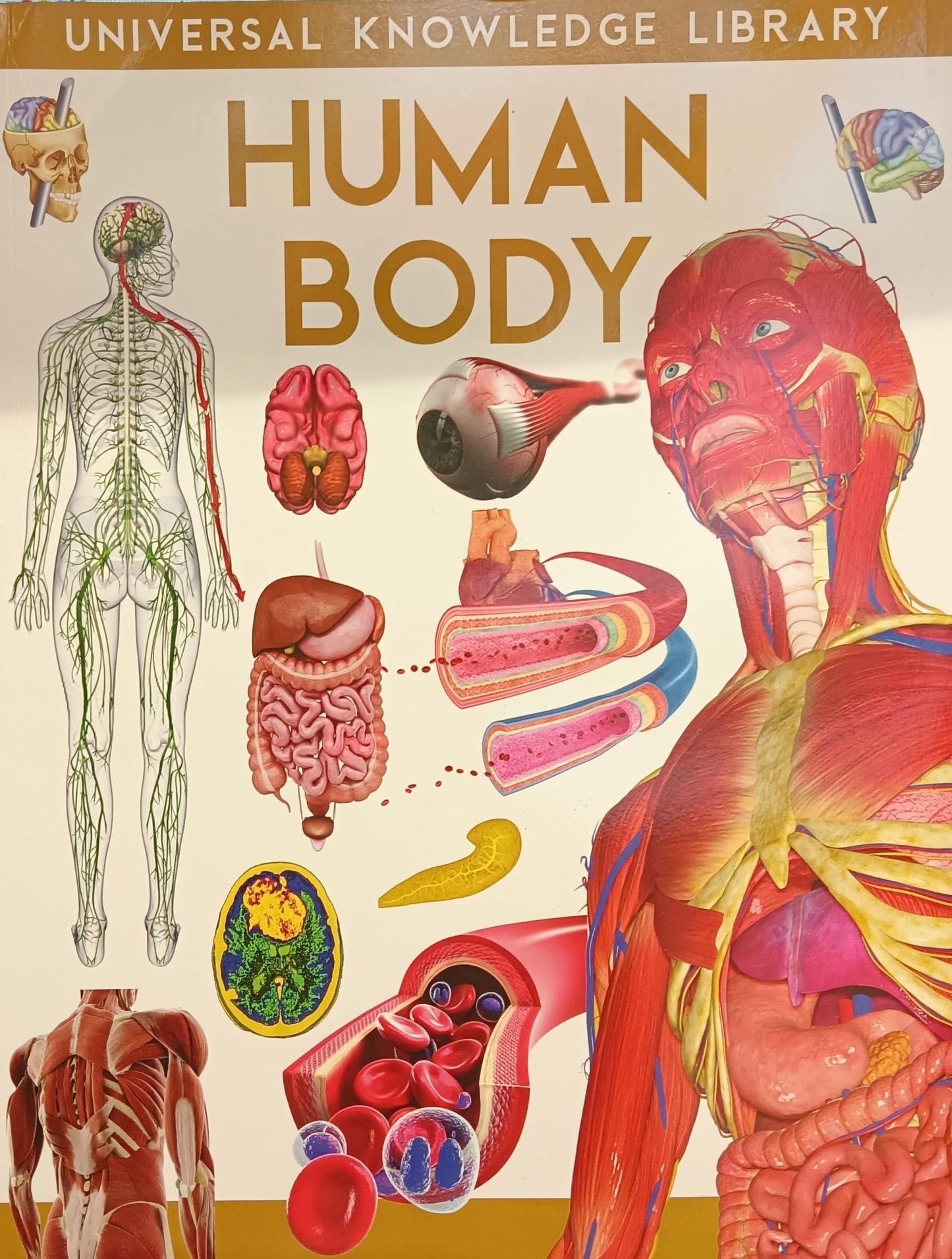 Human Body Book, 8 x 11 inches, United States Library of Medicine