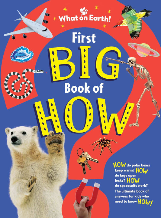 First Big Book Of How