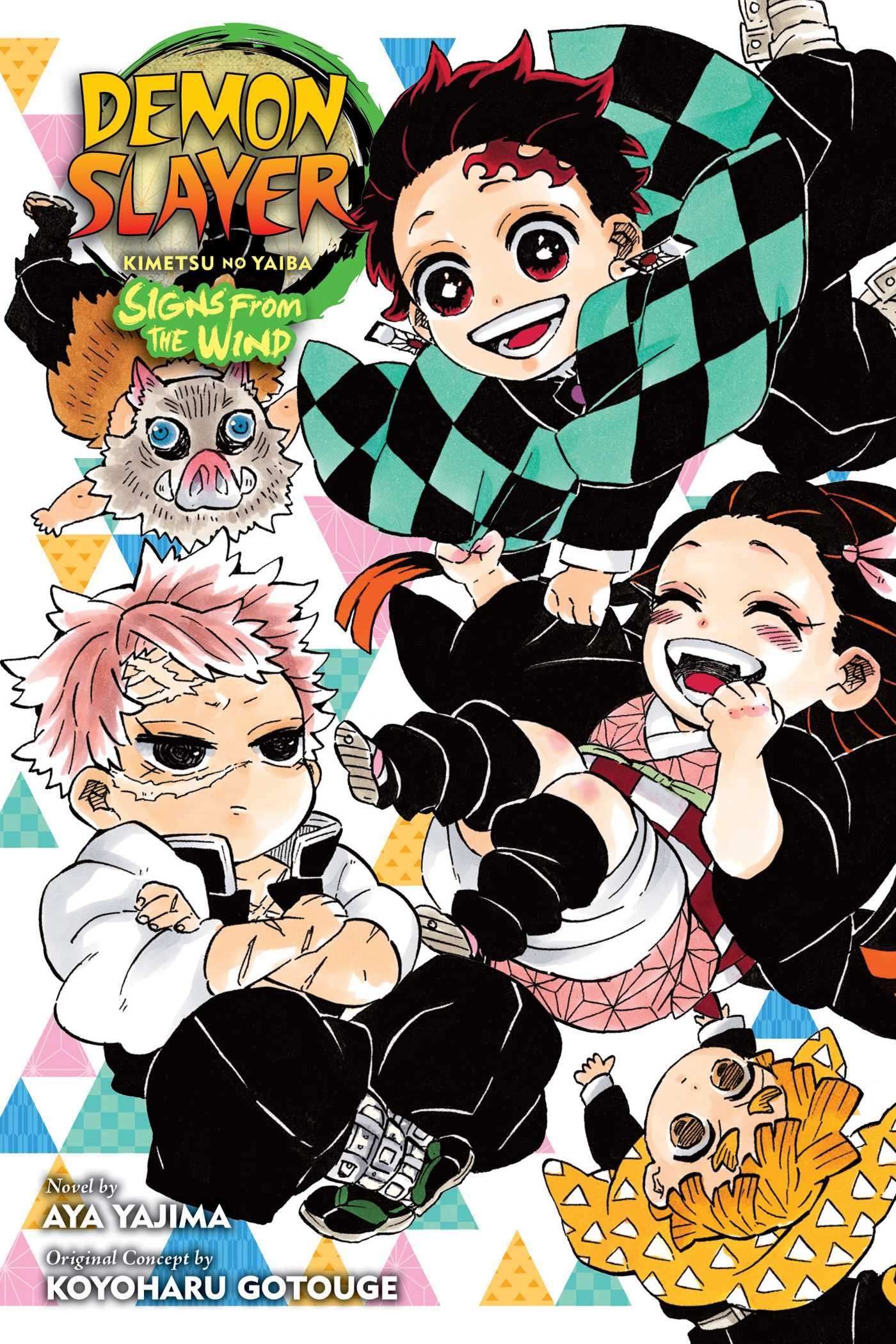 Demon Slayer Novel V3