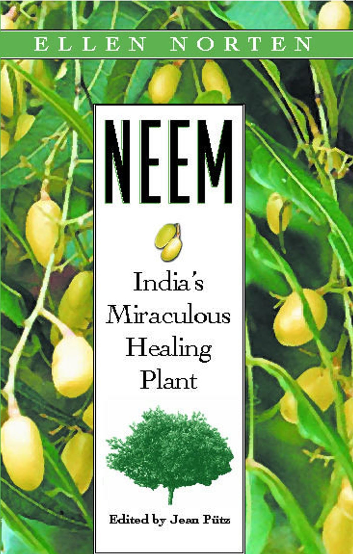 Neem: India'S Miraculous Healing Plant