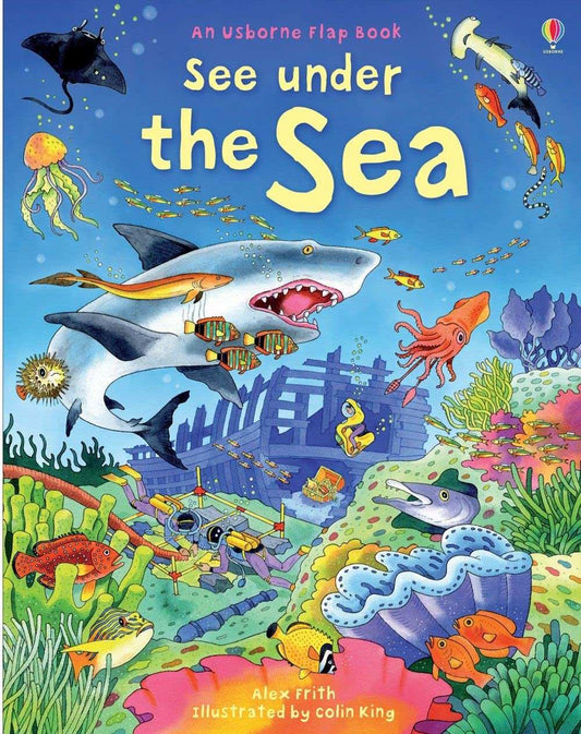 Usborne Flap Booksee Under The Sea