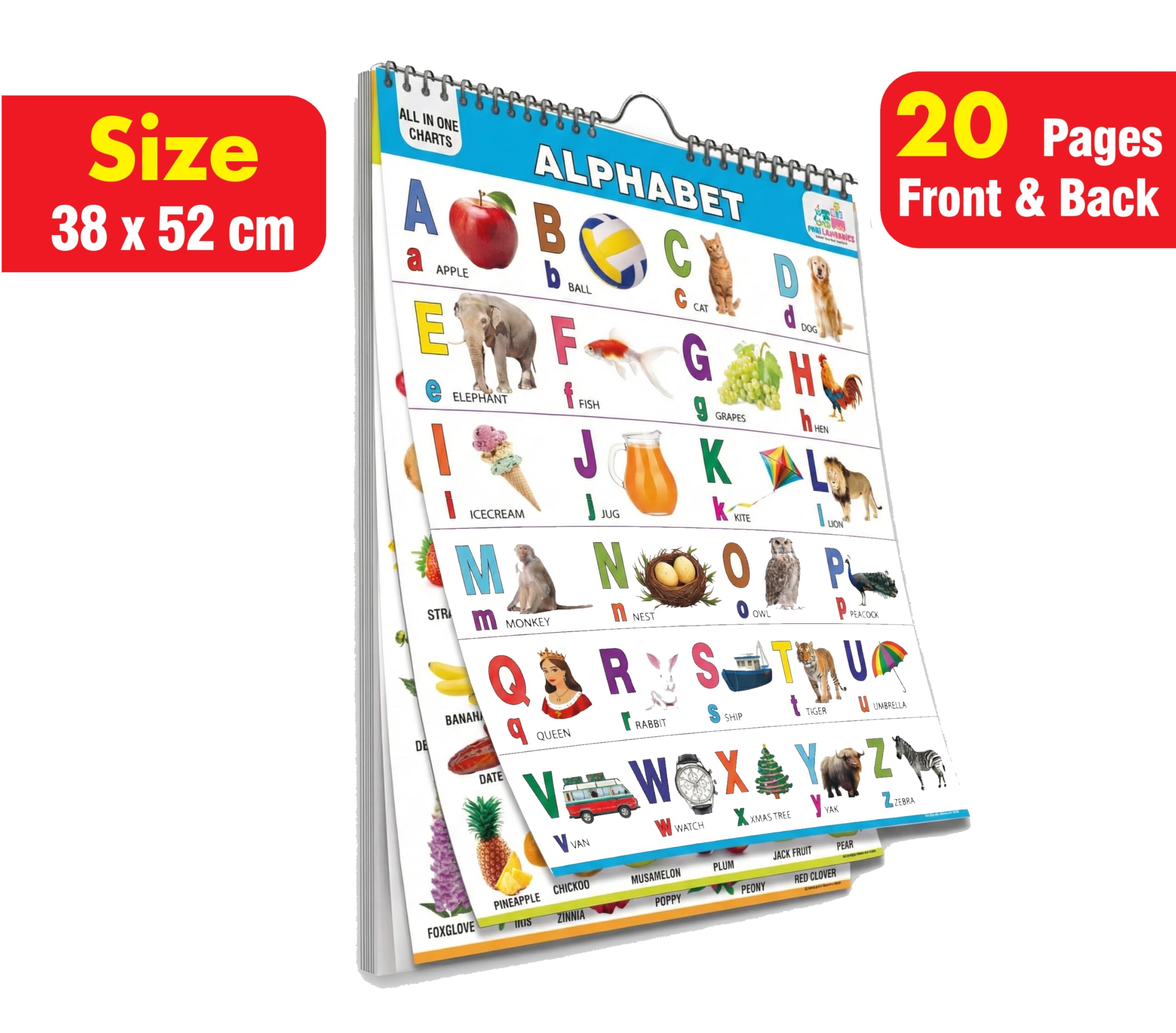 All in One English Chart for Kids