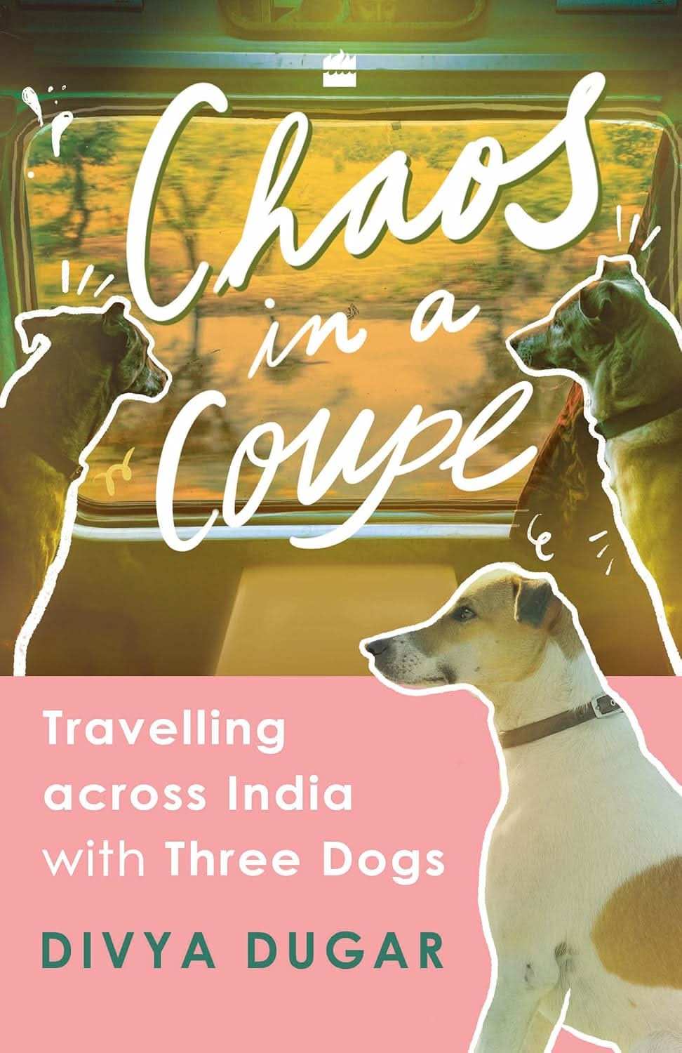 Chaos In A Coupe | Travelling Across India With Three Dogs