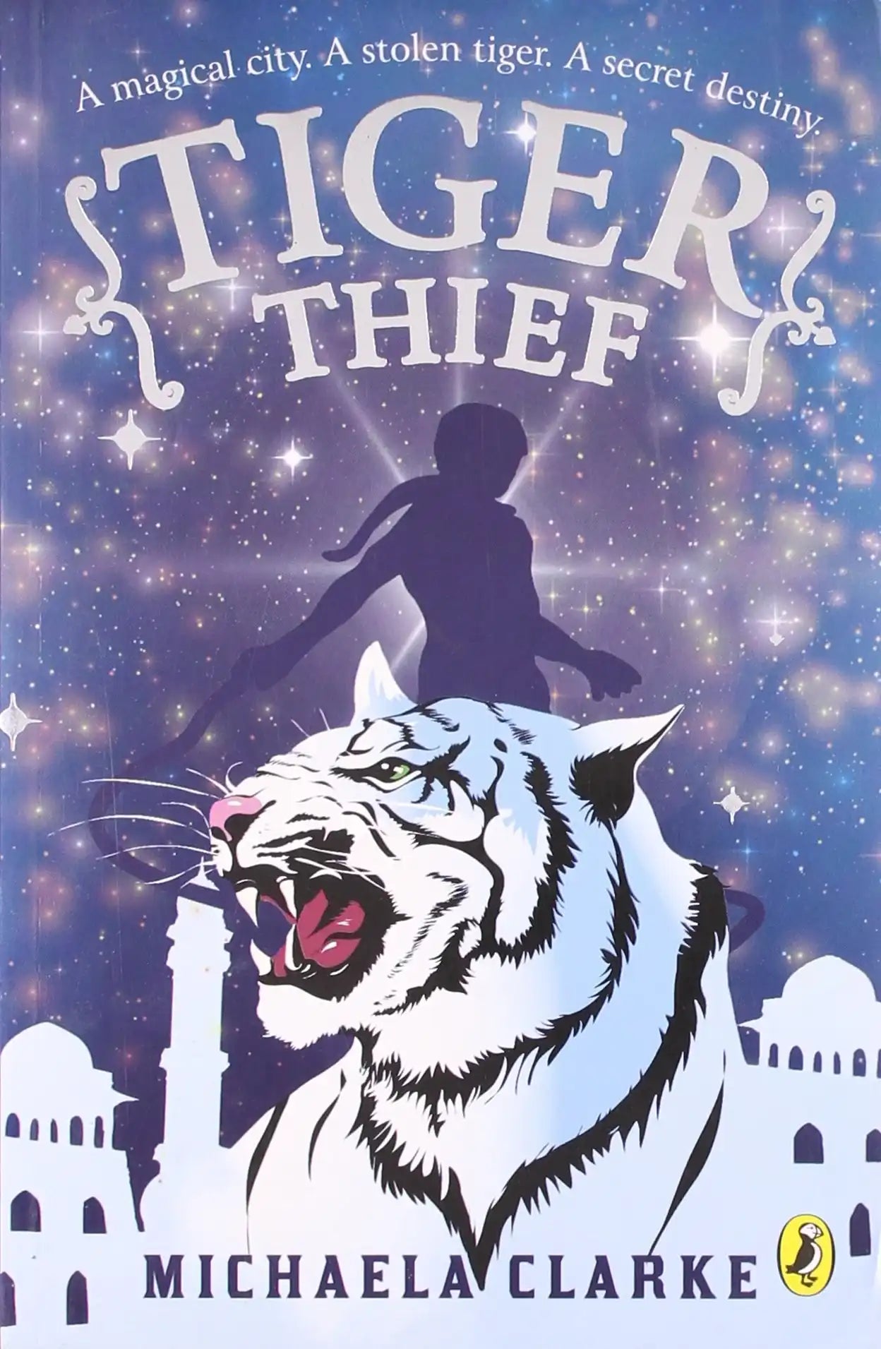 Tiger Thief : A Magical City, A Stolen Tiger, A Secret Destiny