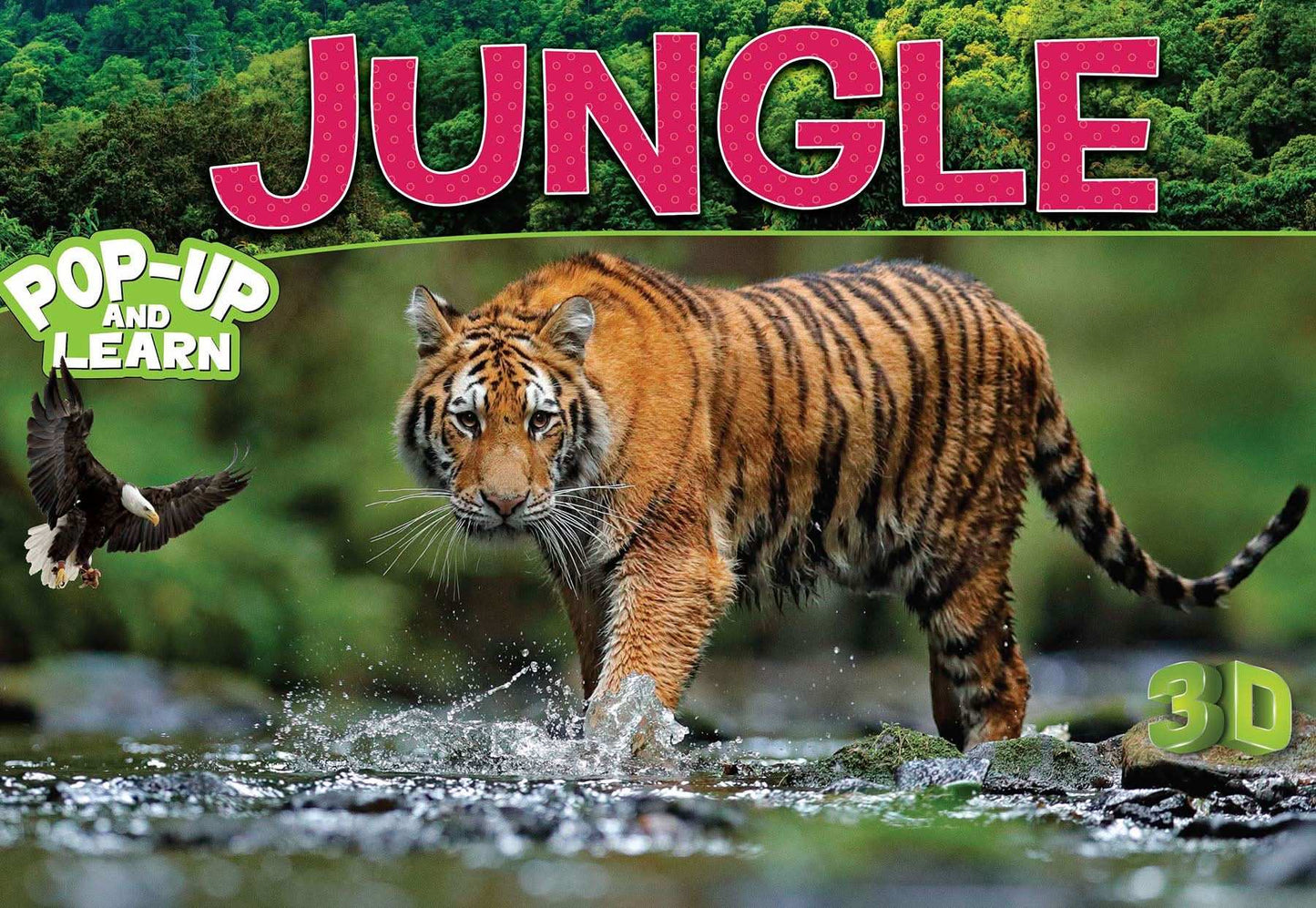 Jungle - Pop-Up And Learn