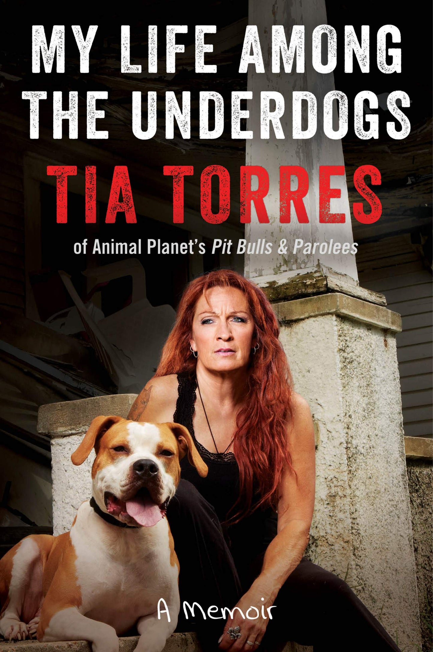 My Life Among The Underdogs