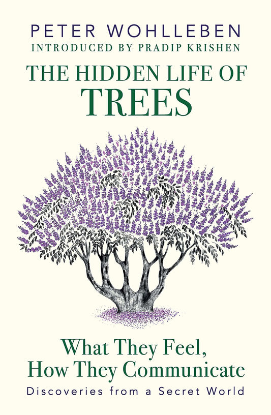 Hidden Life Of Trees, The: What They Fee