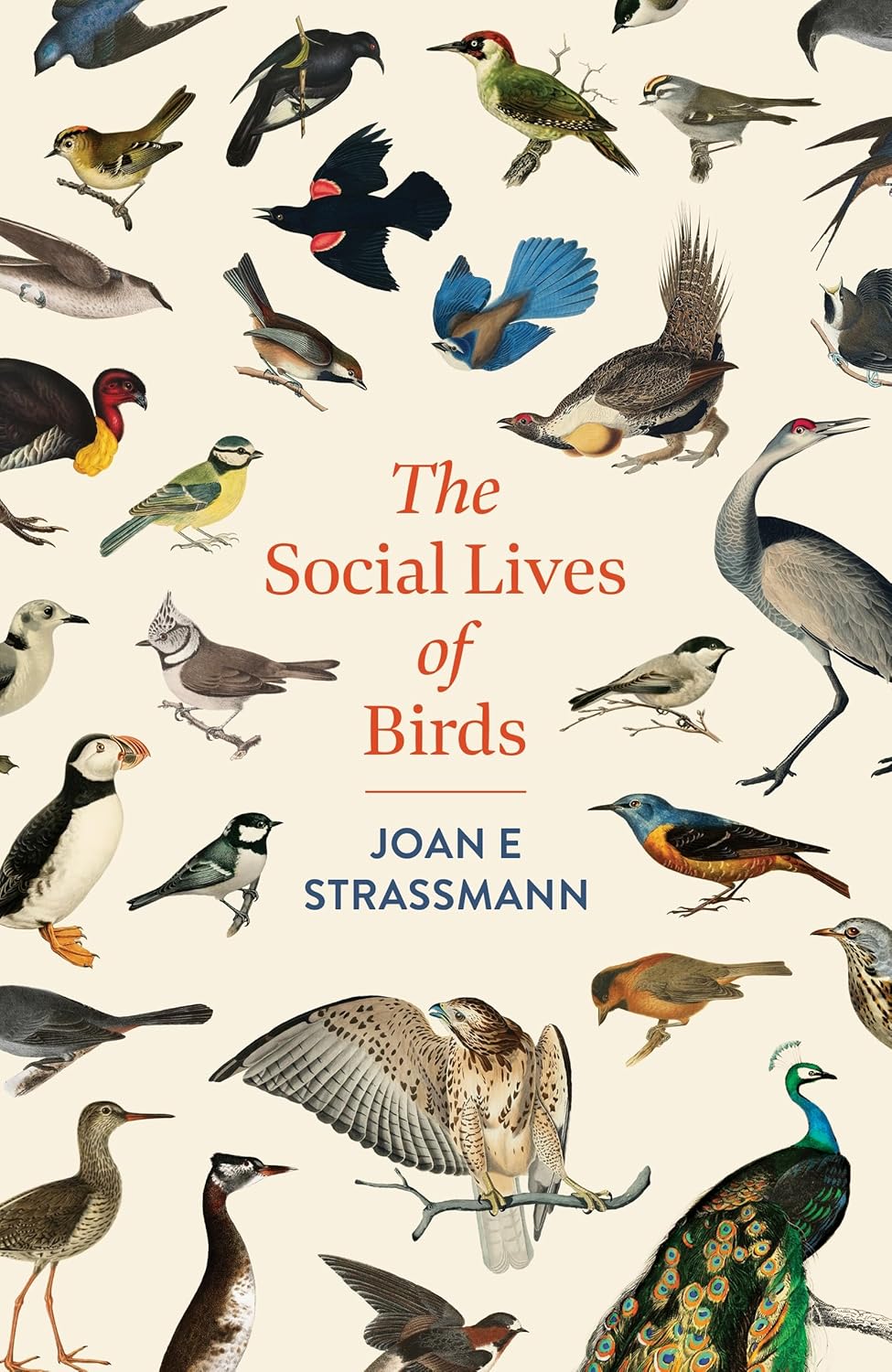 The Social Lives of Birds: a must-read for bird and nature lovers  Release Date -  18 June 2026