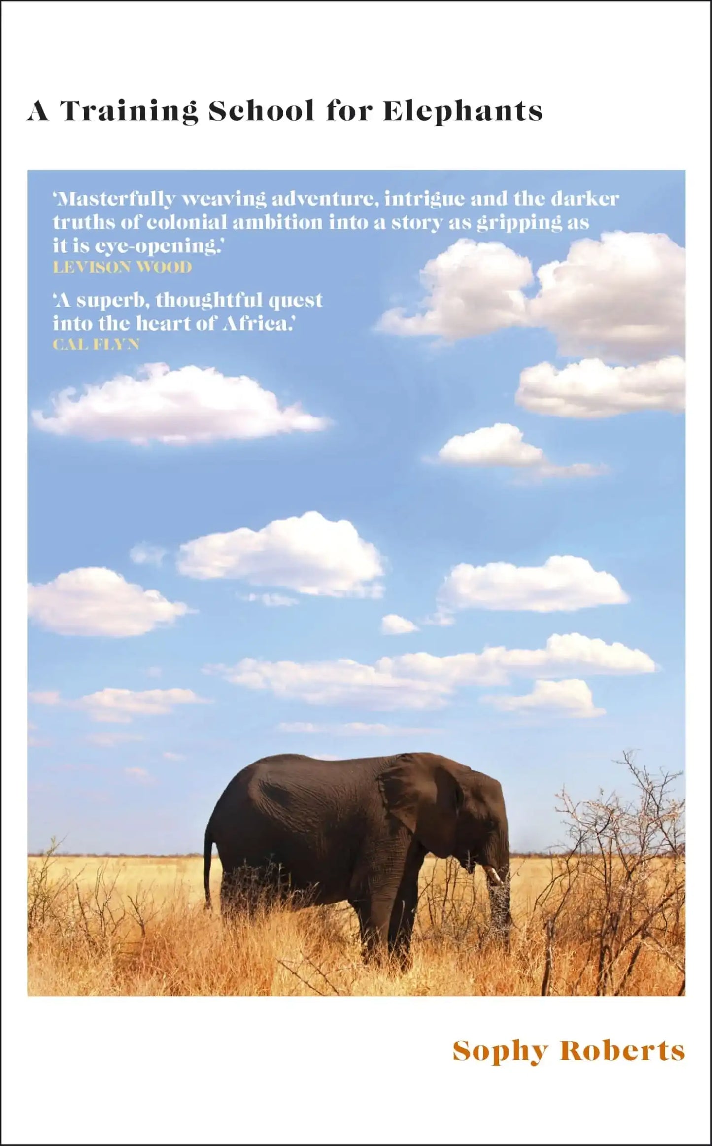 A Training School For Elephants