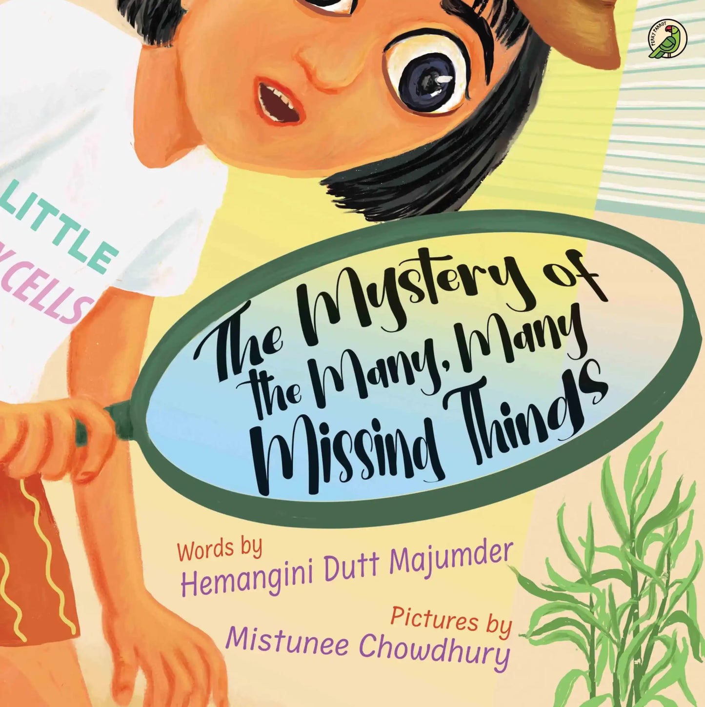 Mystery Of The Many Many Missing Things