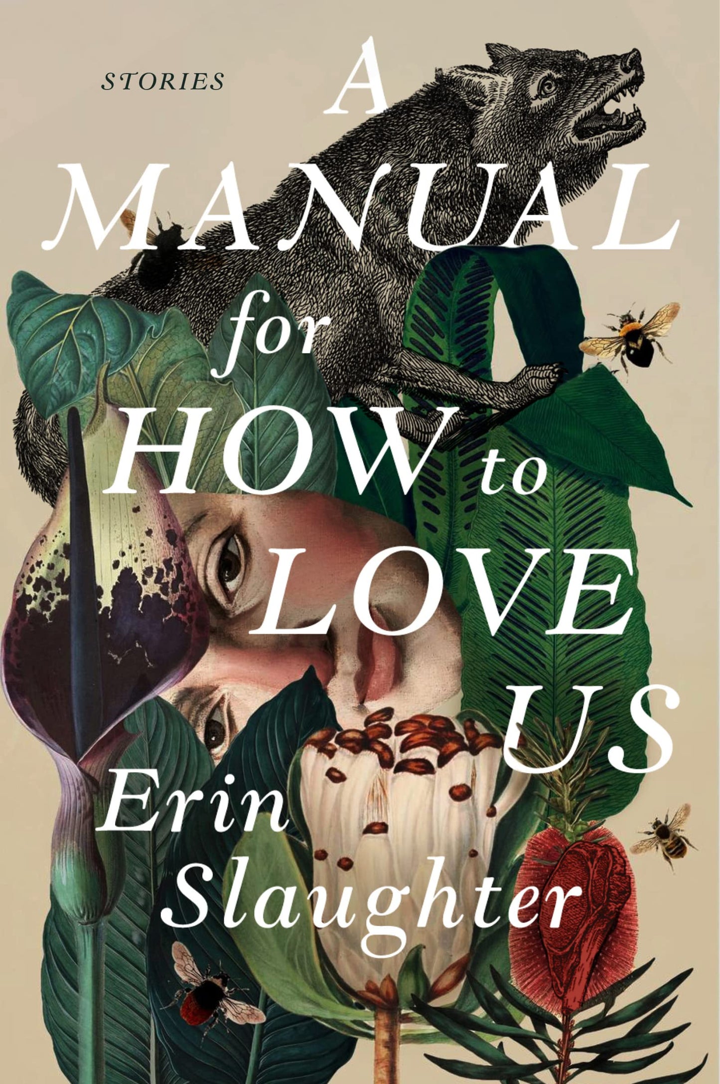 Manual For How To Love Us, A
