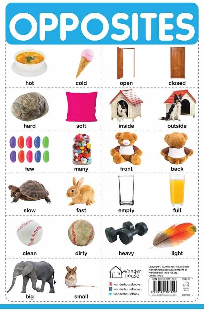 Opposites - My First Early Learning Wall Chart: For Preschool, Kindergarten, Nursery And Homeschooli