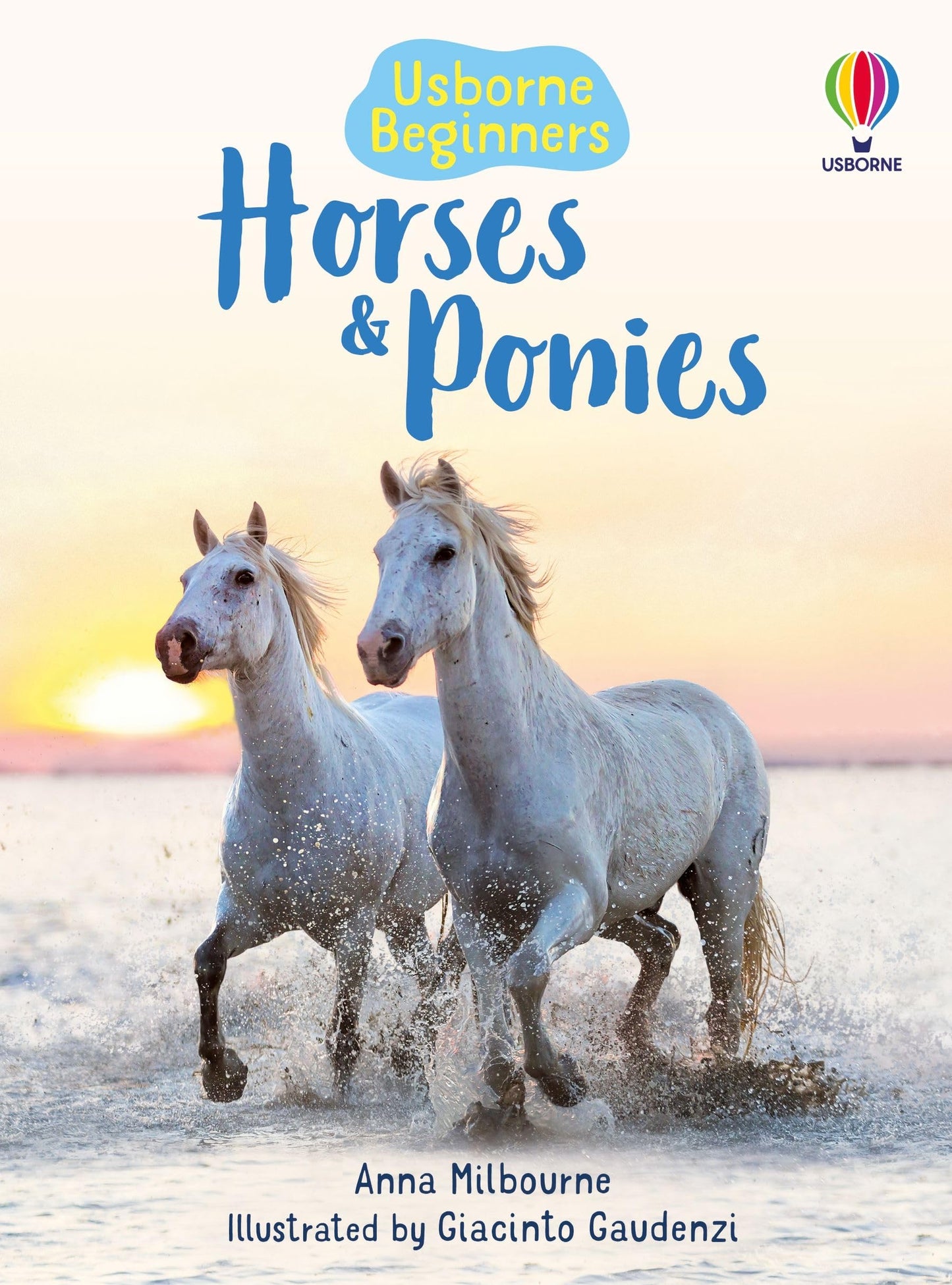 Beginners Horses And Ponies