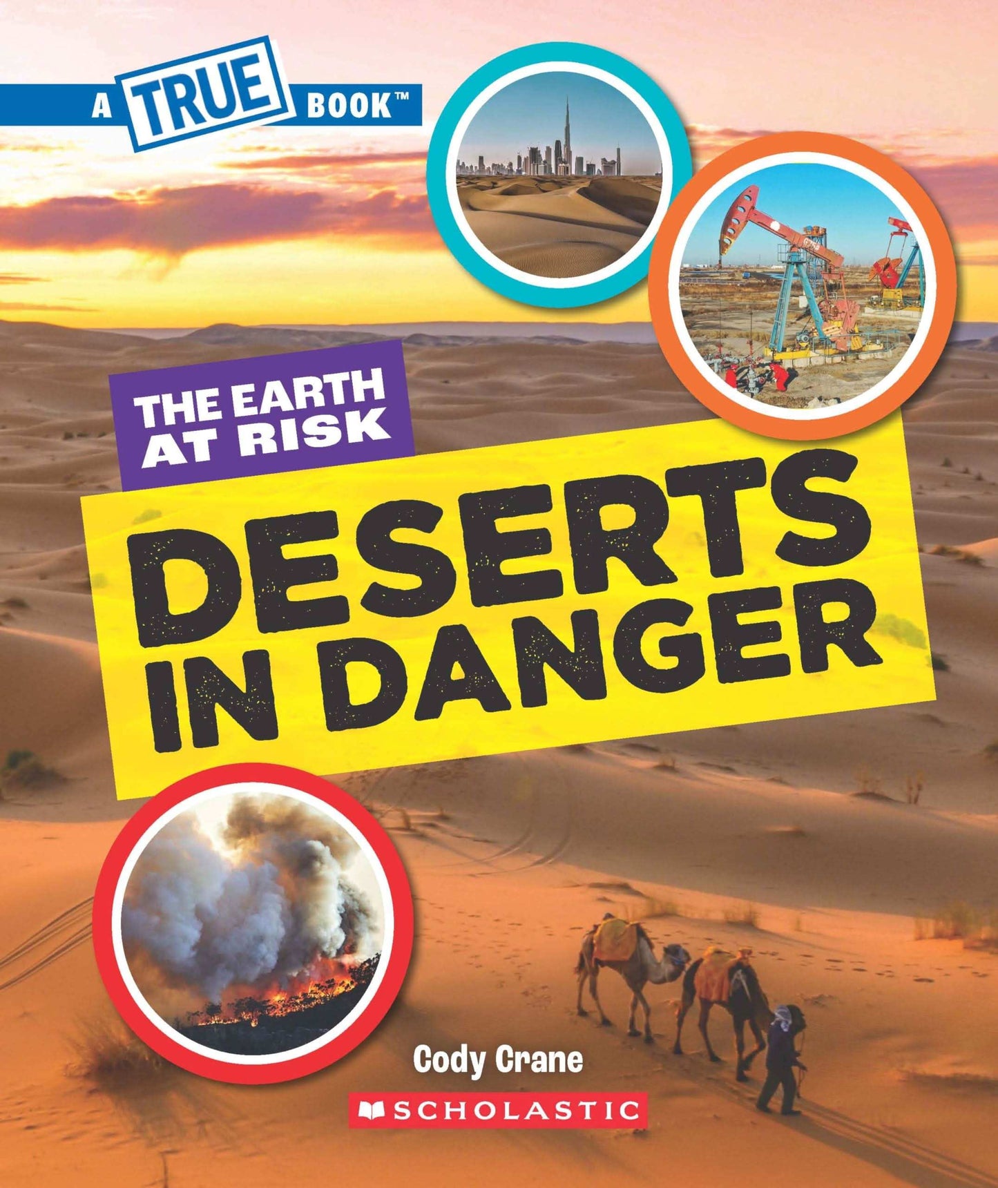 Deserts In Danger (A True Book: The Earth At Risk)