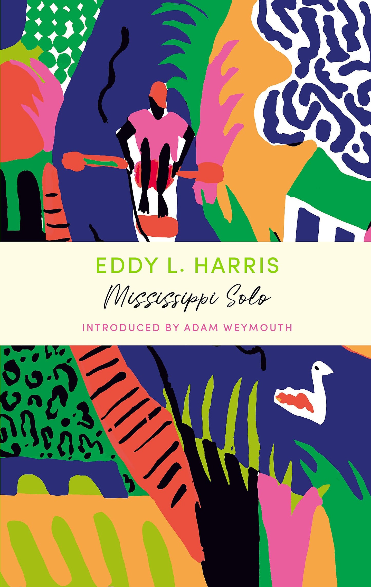 MISSISSIPPI SOLO: A JOHN MURRAY JOURNEY