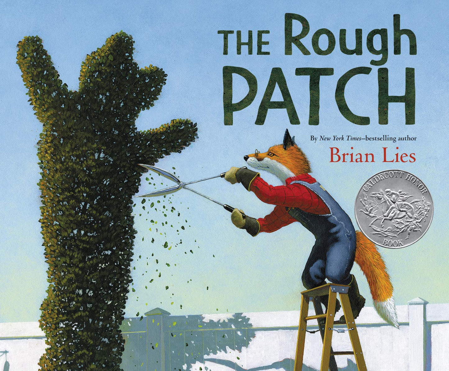 Rough Patch, The