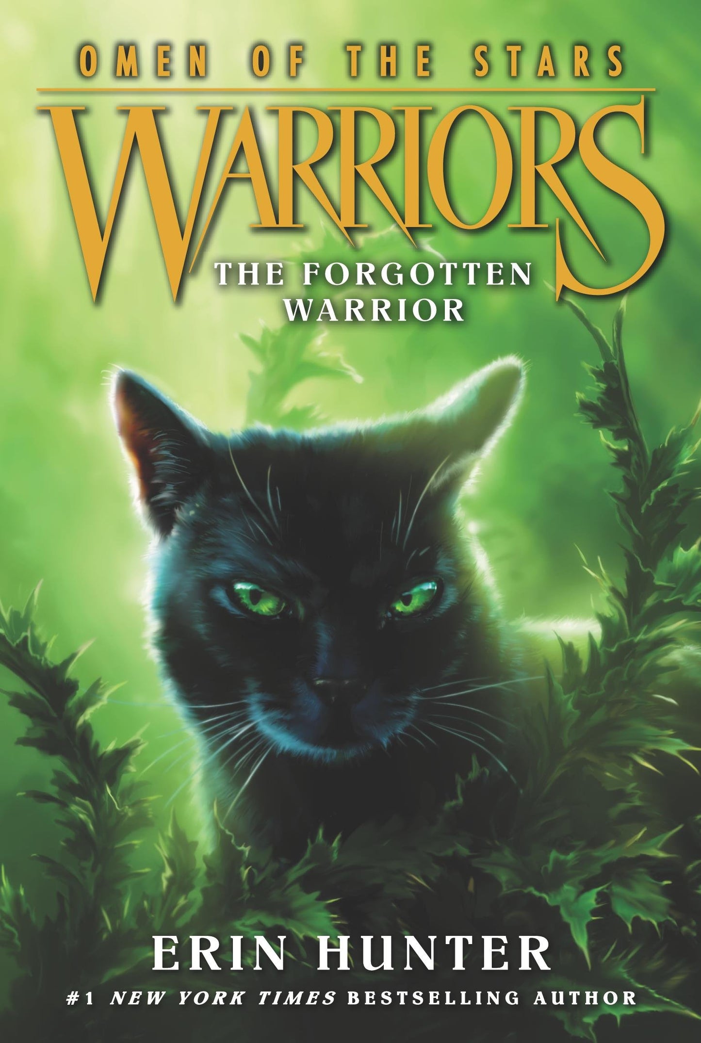 Forgotten Warrior (Woots 5)