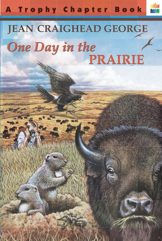 One Day In The Prairie