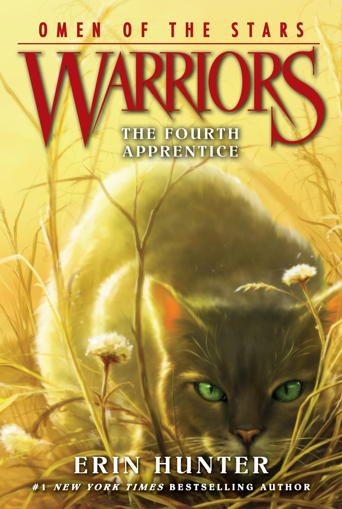 The Fourth Apprentice (Woots 1)