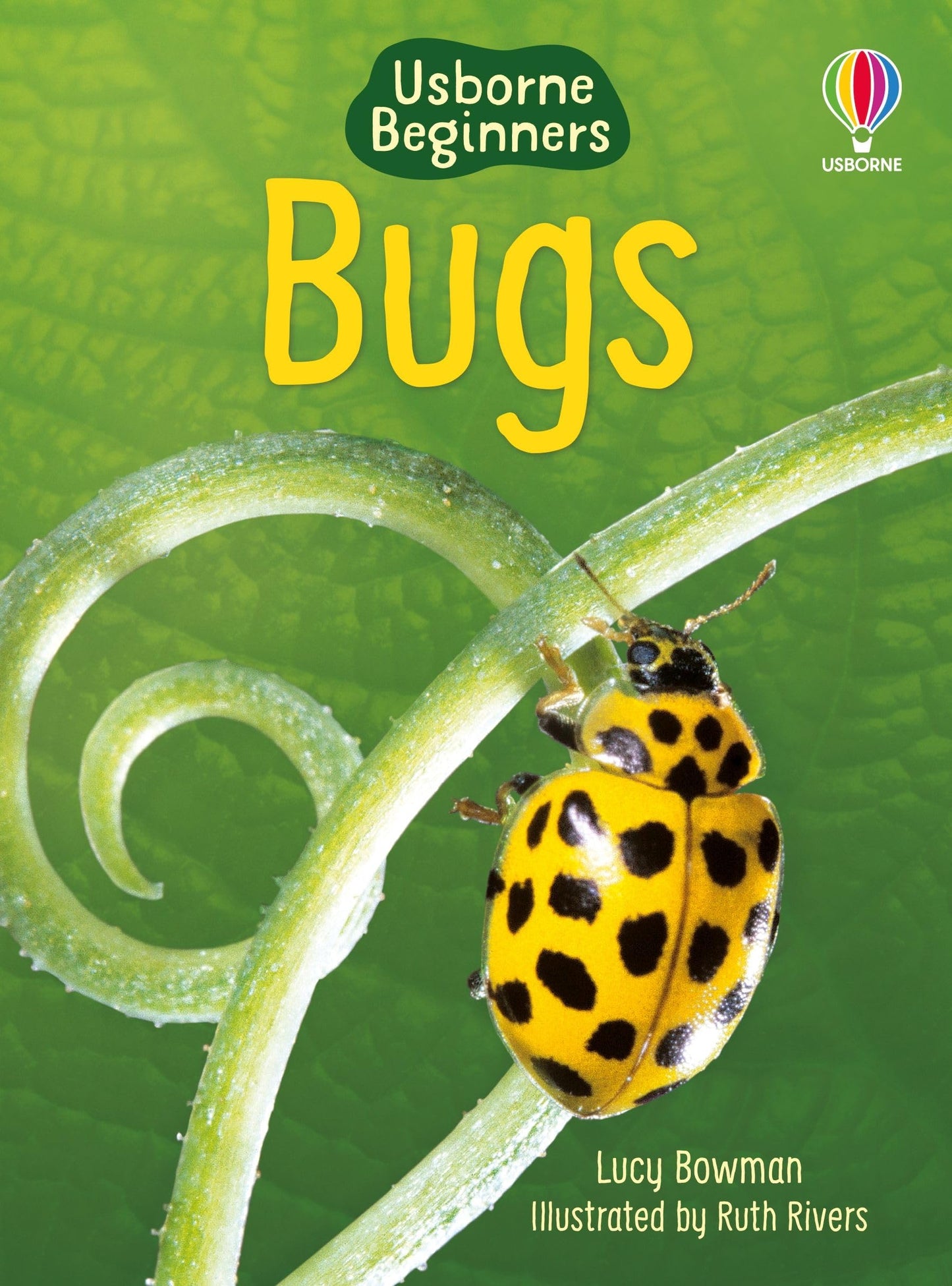 Beginners Bugs
