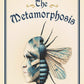 The Metamorphosis