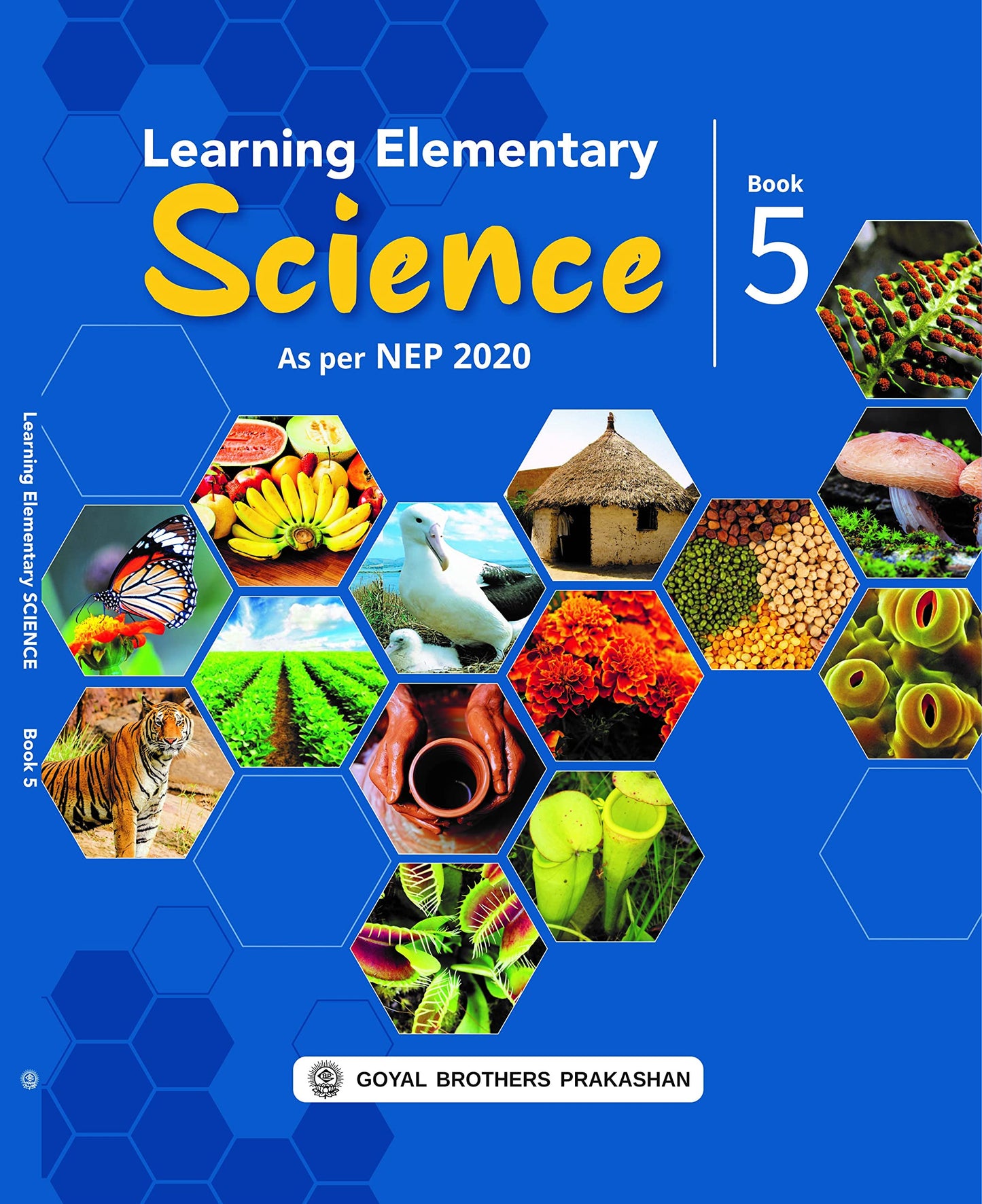 Learning Elementary Science 5