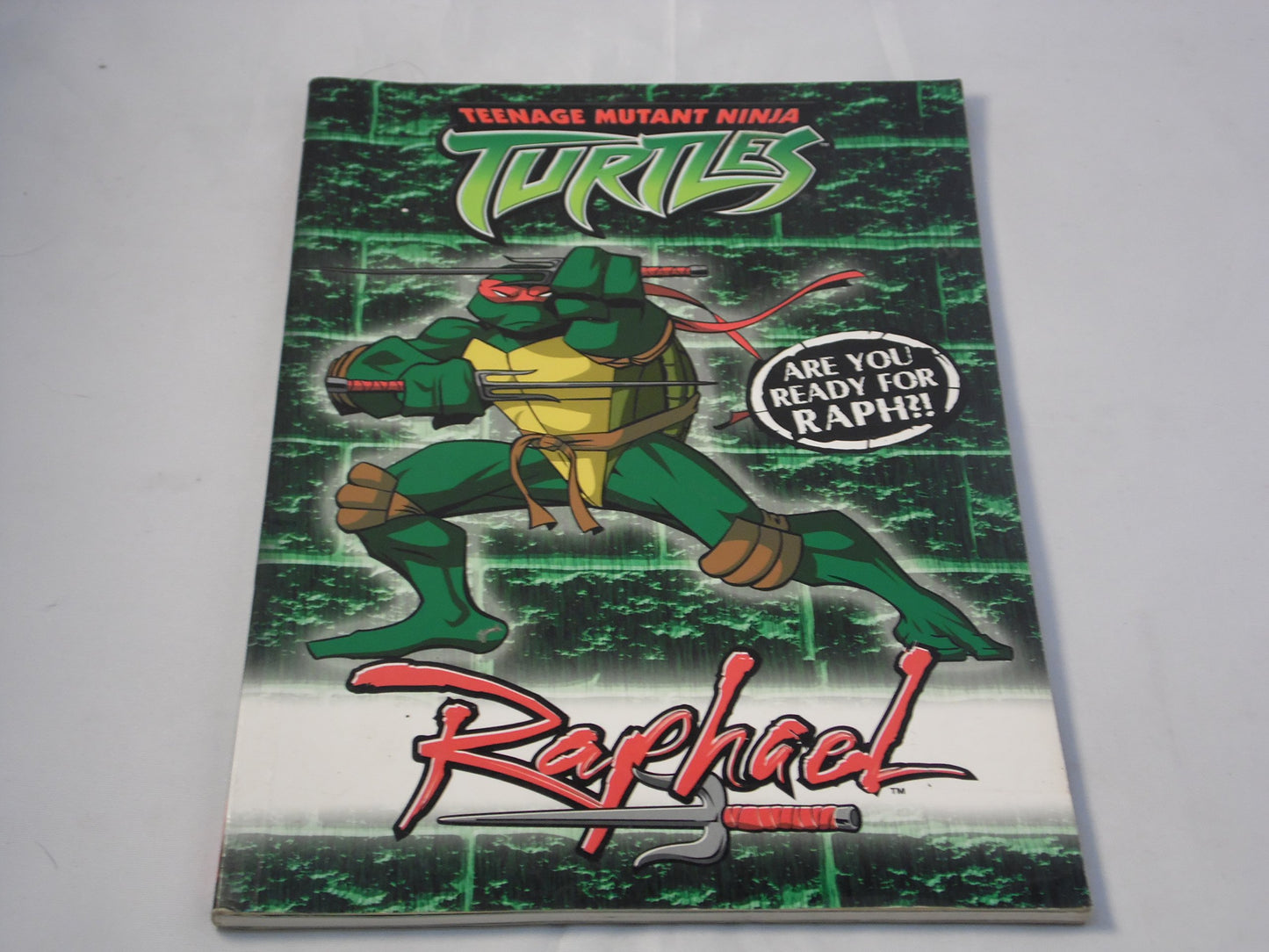 Tmnt Raphael Collector Pb
